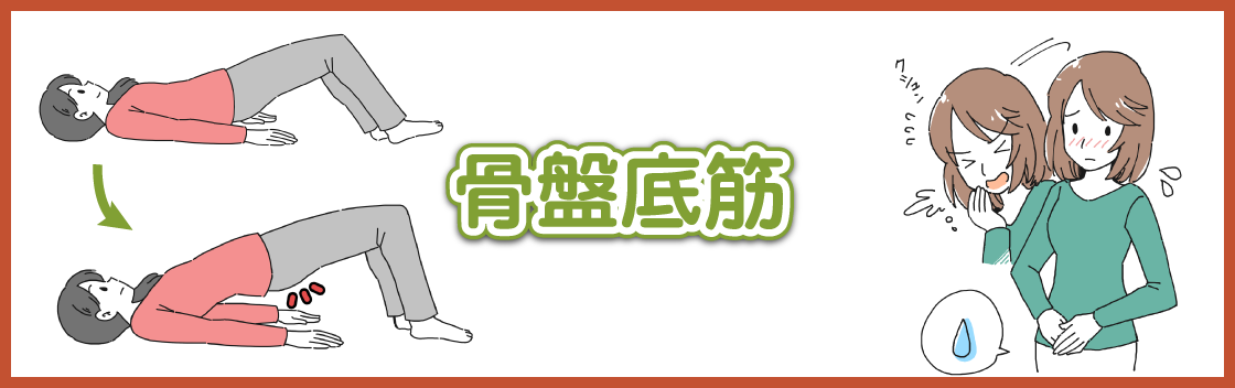 長野市のみすずレディースクリニック骨盤底筋のブログページへ